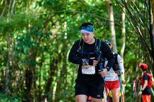 BIB: 
                            <button type="button" onclick="openModal(19435871)" class="btn btn-primary btn-sm float-right btn-popup" data-toggle="modal" data-target=".modal-high-quality">
                        <i class="fas fa-shopping-cart"></i> Add to Cart
                    </button>
                                            <button type="button" onclick="isThisMe(19435871, true)" class="btn btn-success btn-sm float-right btn-popup btn-isme hidden" data-toggle="tooltip" data-placement="bottom" title="นี่คือรูปของคุณใช่ไหม คลิกที่นี่เพื่อเอาเข้าอัลบั้ม">
                        <i class="fas fa-plus"></i> Add to album
                    </button>
                    <button type="button" onclick="isThisMe(19435871, false)" class="btn btn-warning btn-sm float-right btn-popup btn-isnotme hidden">
                        <i class="fas fa-ban"></i> Remove from album
                    </button>